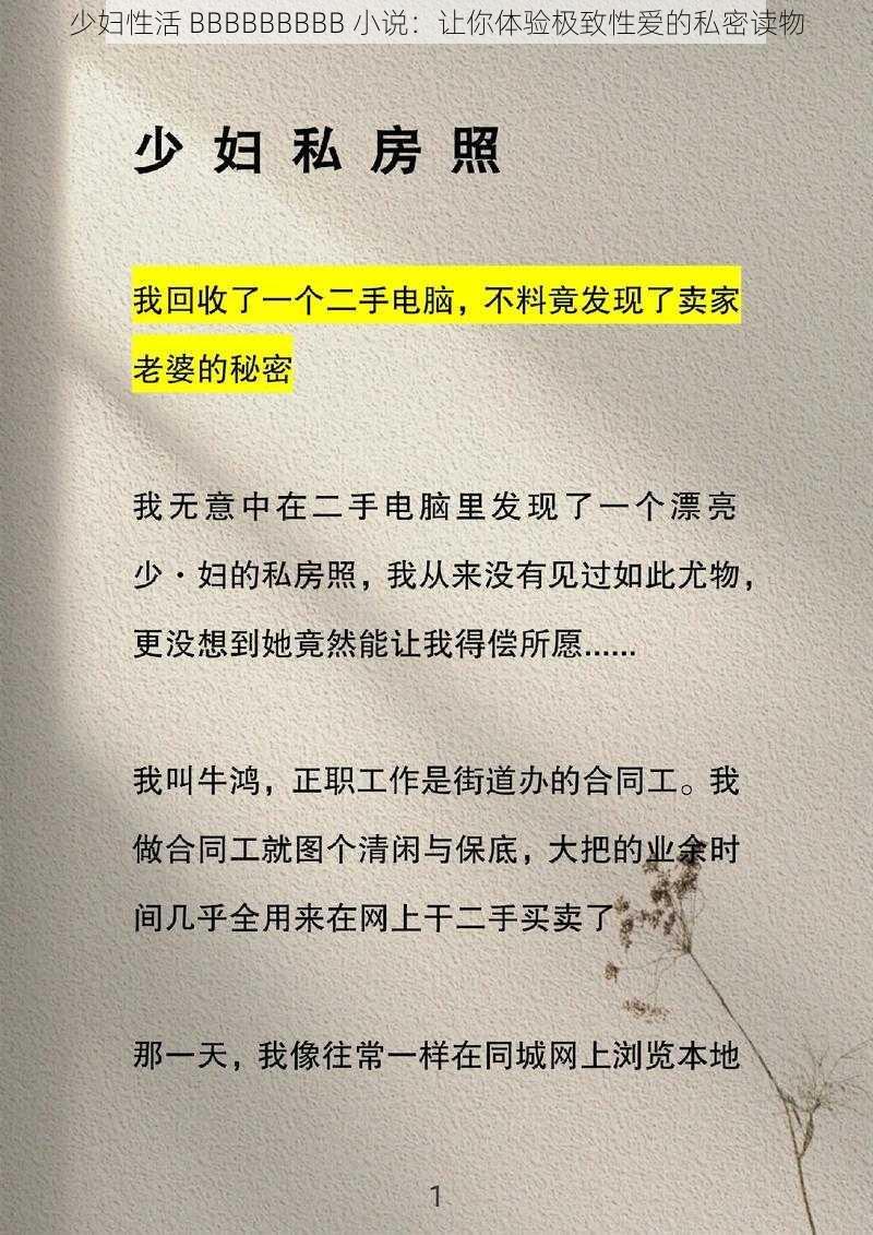 少妇性活 BBBBBBBBB 小说：让你体验极致性爱的私密读物