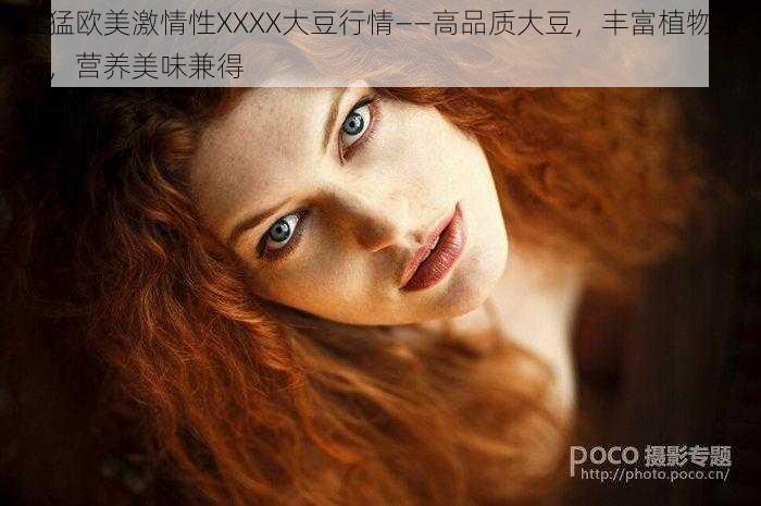 狂猛欧美激情性XXXX大豆行情——高品质大豆，丰富植物蛋白，营养美味兼得