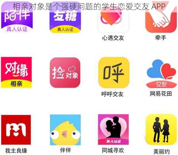 相亲对象是个强硬问题的学生恋爱交友 APP