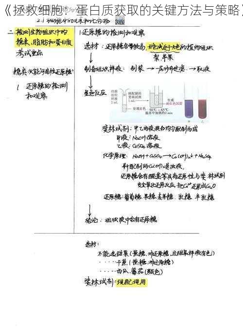 《拯救细胞：蛋白质获取的关键方法与策略》