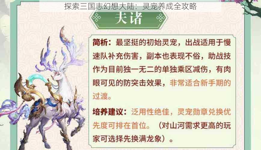 探索三国志幻想大陆：灵宠养成全攻略