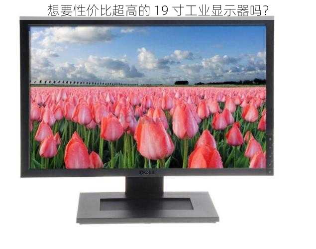 想要性价比超高的 19 寸工业显示器吗？