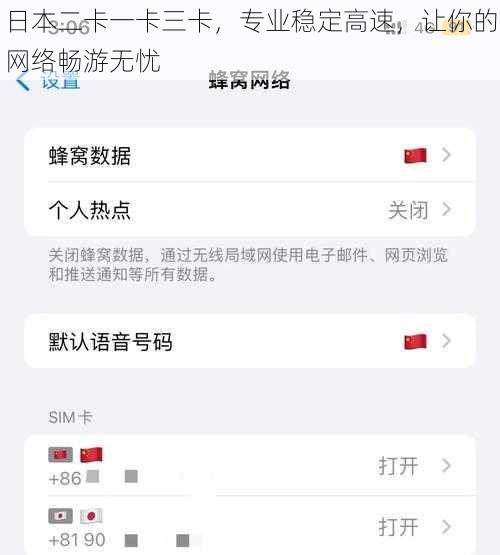 日本二卡一卡三卡，专业稳定高速，让你的网络畅游无忧