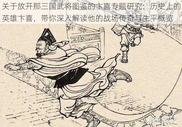 关于放开那三国武将图鉴的卞喜专题研究：历史上的英雄卞喜，带你深入解读他的战场传奇与生平概览