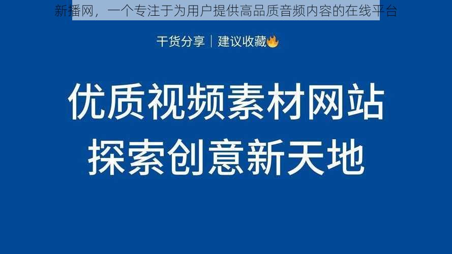 新播网，一个专注于为用户提供高品质音频内容的在线平台