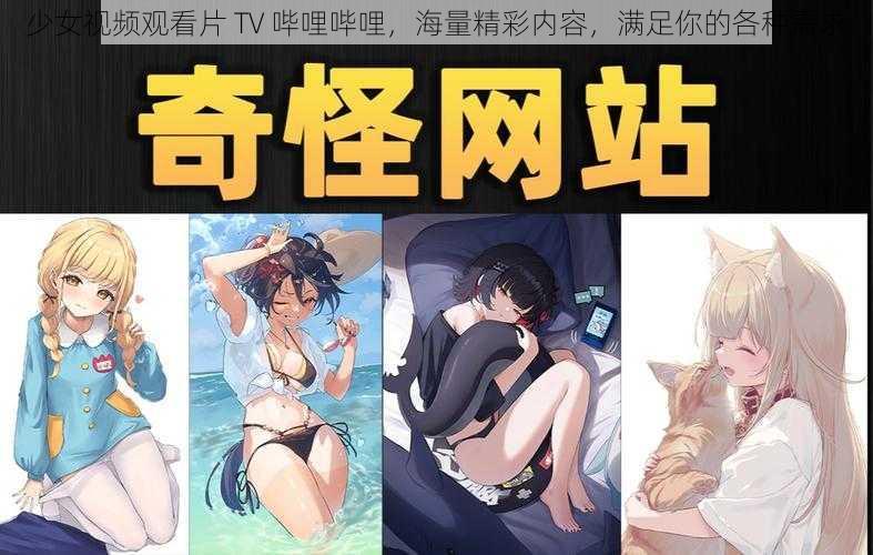 少女视频观看片 TV 哔哩哔哩，海量精彩内容，满足你的各种需求