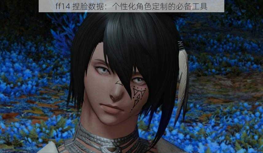 ff14 捏脸数据：个性化角色定制的必备工具