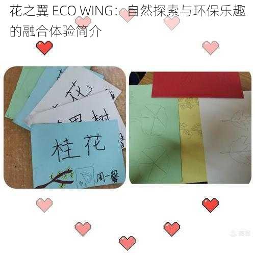 花之翼 ECO WING：自然探索与环保乐趣的融合体验简介