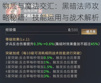 物质与魔法交汇：黑暗法师攻略秘籍：技能运用与战术解析