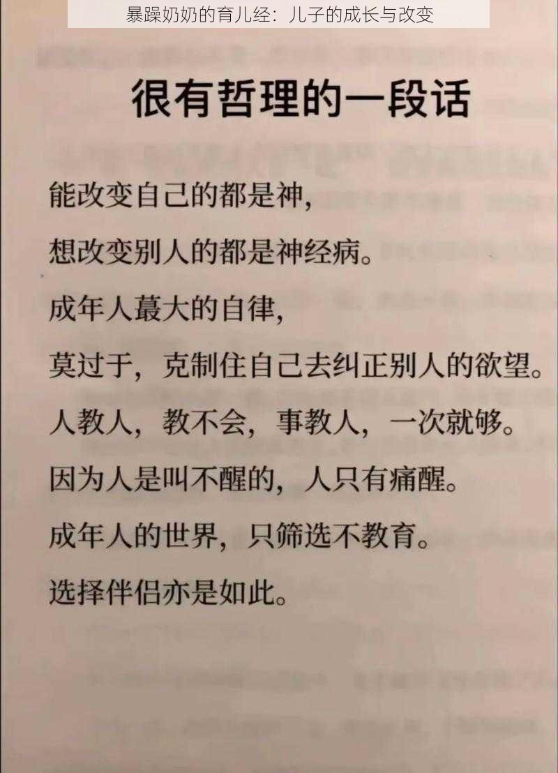 暴躁奶奶的育儿经：儿子的成长与改变