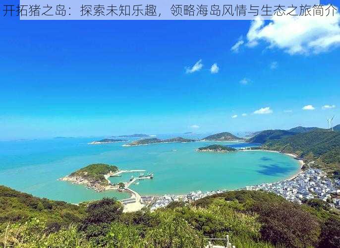 开拓猪之岛：探索未知乐趣，领略海岛风情与生态之旅简介