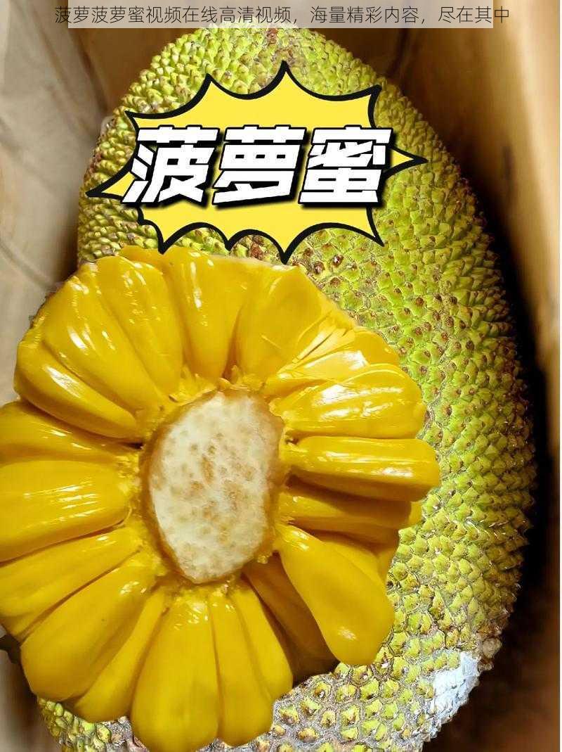 菠萝菠萝蜜视频在线高清视频，海量精彩内容，尽在其中