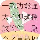 一款功能强大的视频播放软件，聚合了草莓樱桃丝瓜绿巨人秋葵等多个平台的视频资源