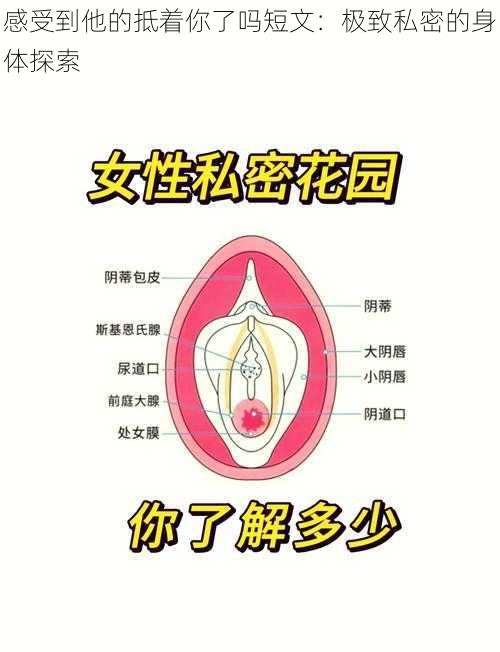 感受到他的抵着你了吗短文：极致私密的身体探索