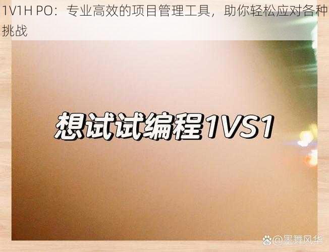 1V1H PO：专业高效的项目管理工具，助你轻松应对各种挑战