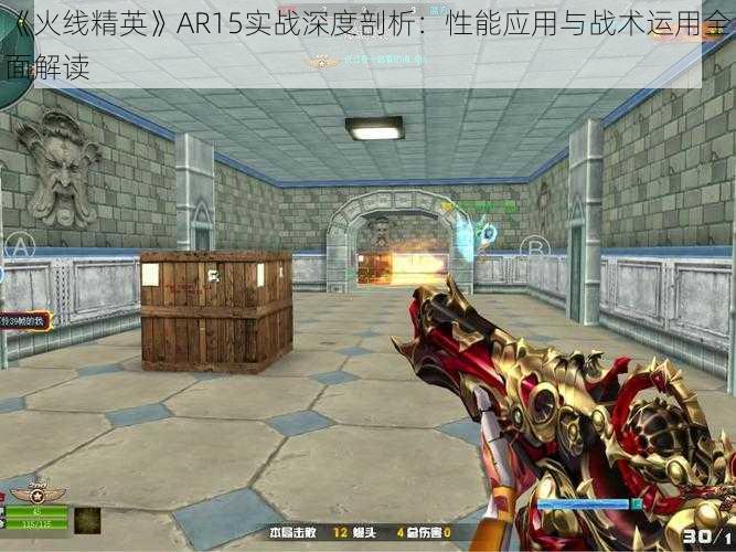 《火线精英》AR15实战深度剖析：性能应用与战术运用全面解读