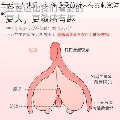 全新成人快插，让你感受前所未有的刺激体验