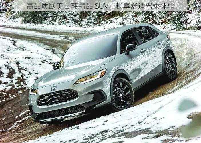 高品质欧美日韩精品 SUV，畅享舒适驾乘体验