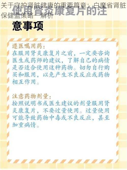 关于守护肾脏健康的重要篇章：白魔省肾脏保健蓝策略一解析