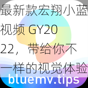 最新款宏翔小蓝视频 GY2022，带给你不一样的视觉体验