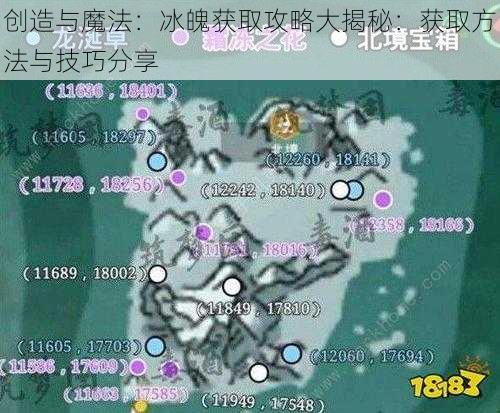 创造与魔法：冰魄获取攻略大揭秘：获取方法与技巧分享