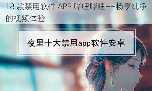 18 款禁用软件 APP 哔哩哔哩——畅享纯净的视频体验