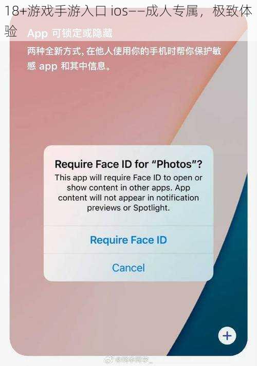 18+游戏手游入口 ios——成人专属，极致体验