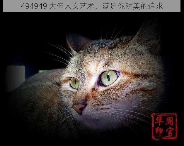 494949 大但人文艺术，满足你对美的追求