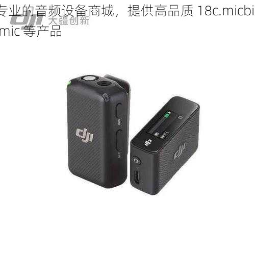 专业的音频设备商城，提供高品质 18c.micbiz.mic 等产品