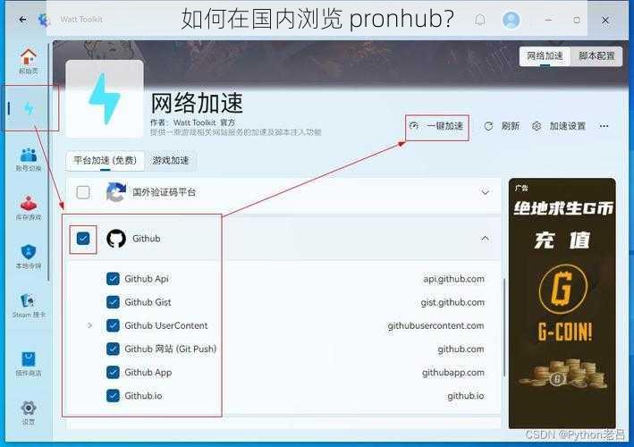 如何在国内浏览 pronhub？