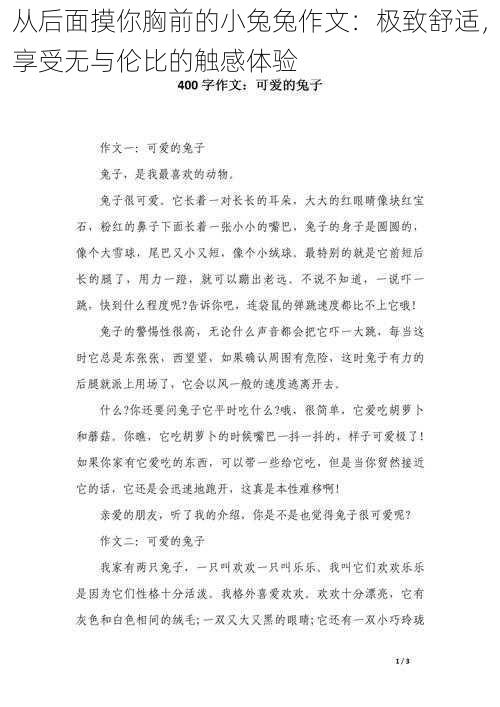 从后面摸你胸前的小兔兔作文：极致舒适，享受无与伦比的触感体验