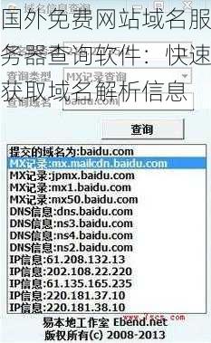 国外免费网站域名服务器查询软件：快速获取域名解析信息