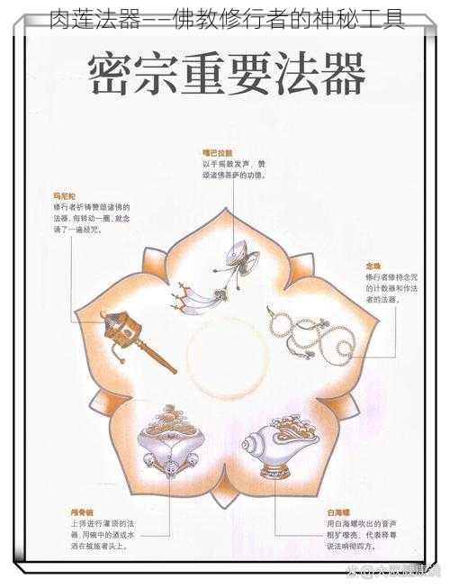 肉莲法器——佛教修行者的神秘工具