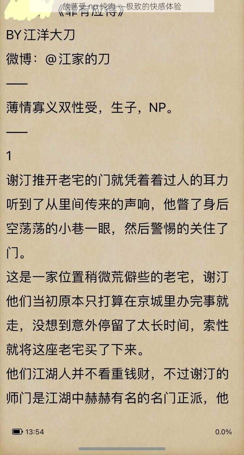 放荡受 np 纯肉——极致的快感体验