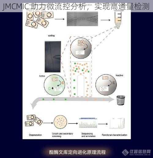 JMCMIC 助力微流控分析，实现高通量检测