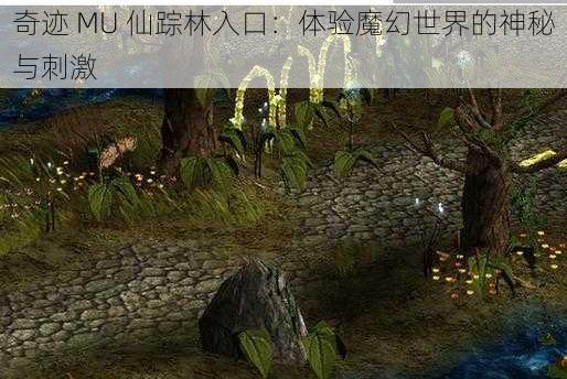 奇迹 MU 仙踪林入口：体验魔幻世界的神秘与刺激