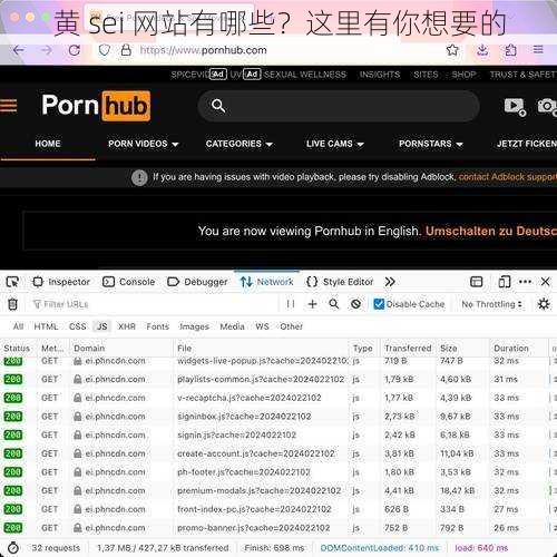 黄 sei 网站有哪些？这里有你想要的