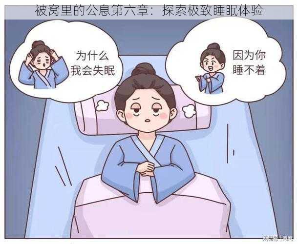 被窝里的公息第六章：探索极致睡眠体验