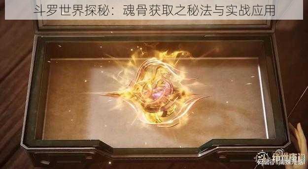 斗罗世界探秘：魂骨获取之秘法与实战应用