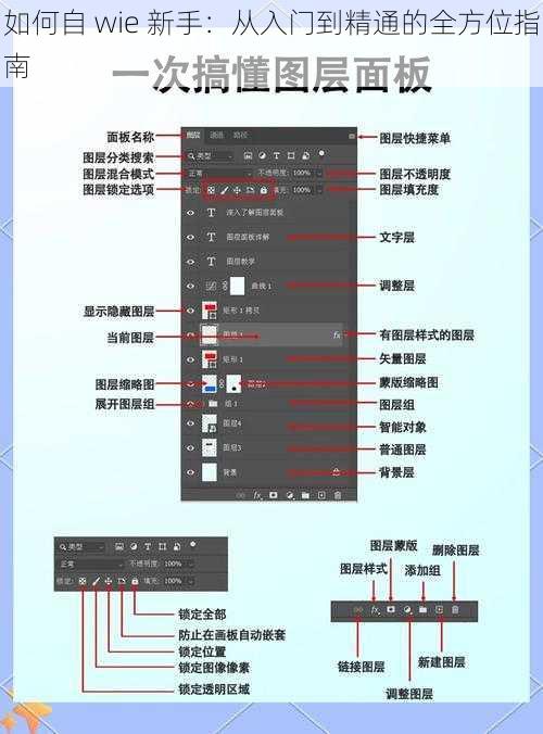 如何自 wie 新手：从入门到精通的全方位指南