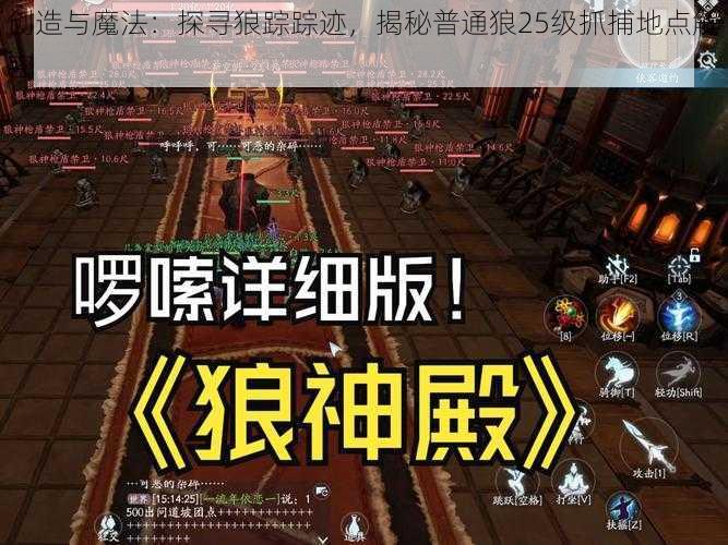 创造与魔法：探寻狼踪踪迹，揭秘普通狼25级抓捕地点解密