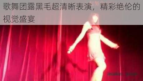 歌舞团露黑毛超清晰表演，精彩绝伦的视觉盛宴