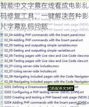智能中文字幕在线看成电影乱码修复工具，一键解决各种影片字幕乱码问题