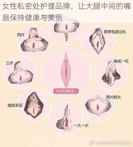 女性私密处护理品牌，让大腿中间的嘴唇保持健康与美丽