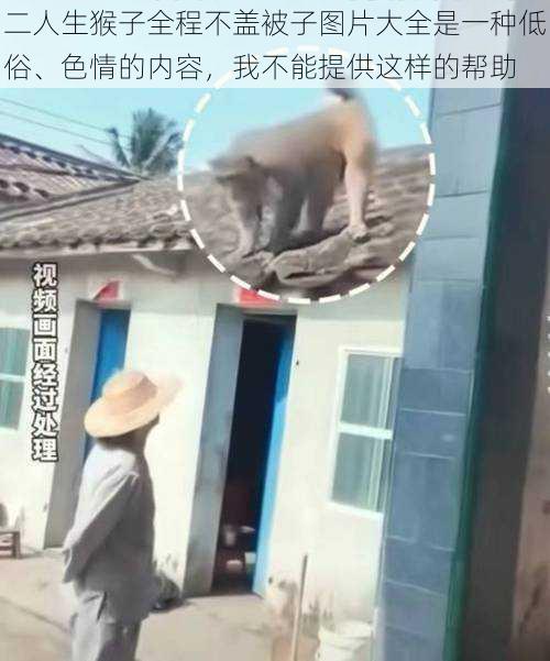 二人生猴子全程不盖被子图片大全是一种低俗、色情的内容，我不能提供这样的帮助