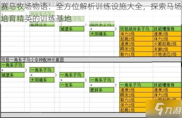 赛马牧场物语：全方位解析训练设施大全，探索马场培育精英的训练基地