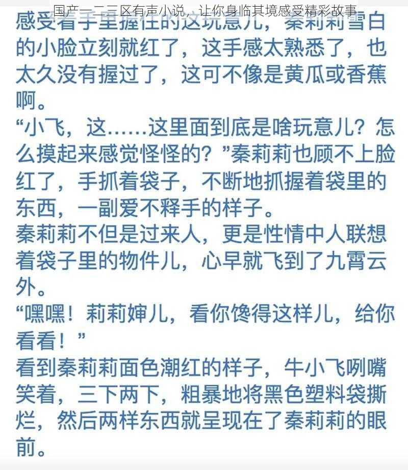 国产一二三区有声小说，让你身临其境感受精彩故事