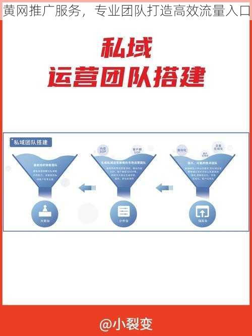 黄网推广服务，专业团队打造高效流量入口