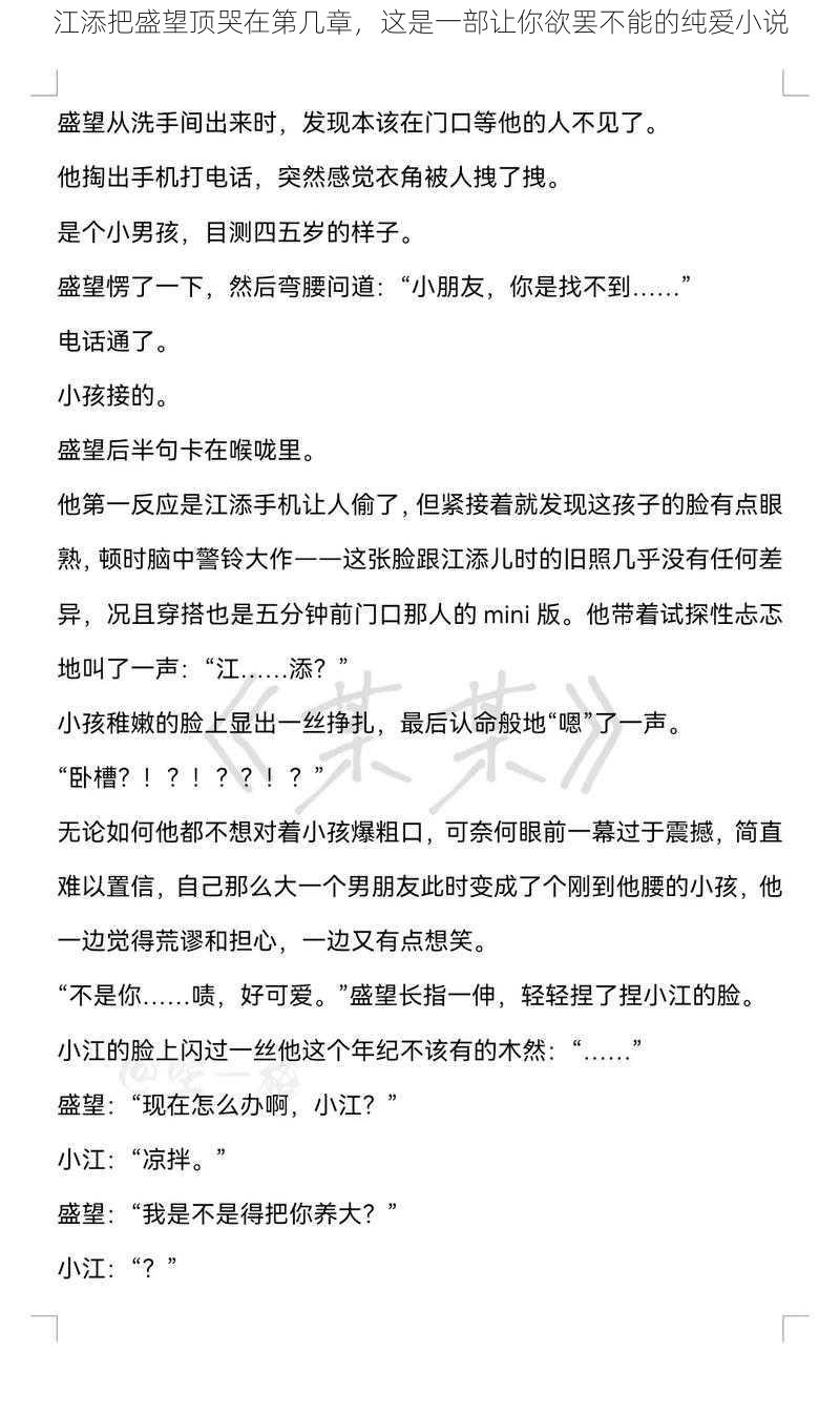 江添把盛望顶哭在第几章，这是一部让你欲罢不能的纯爱小说