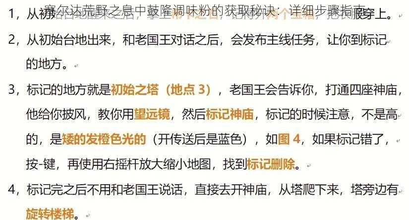 塞尔达荒野之息中鼓隆调味粉的获取秘诀：详细步骤指南